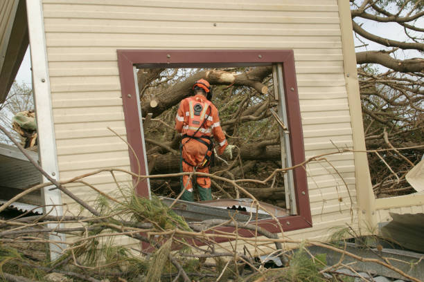 How Our Tree Care Process Works  in  Rogers, MN